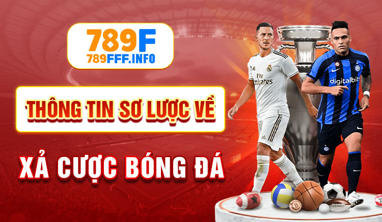 789fff.info-banner