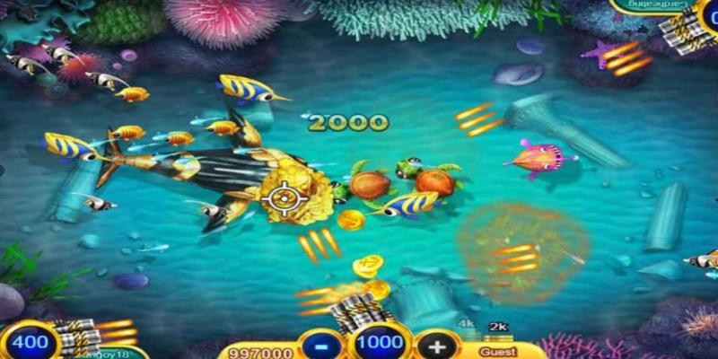 Những quy định về luật chơi của game bắn cá mà bạn cần nắm