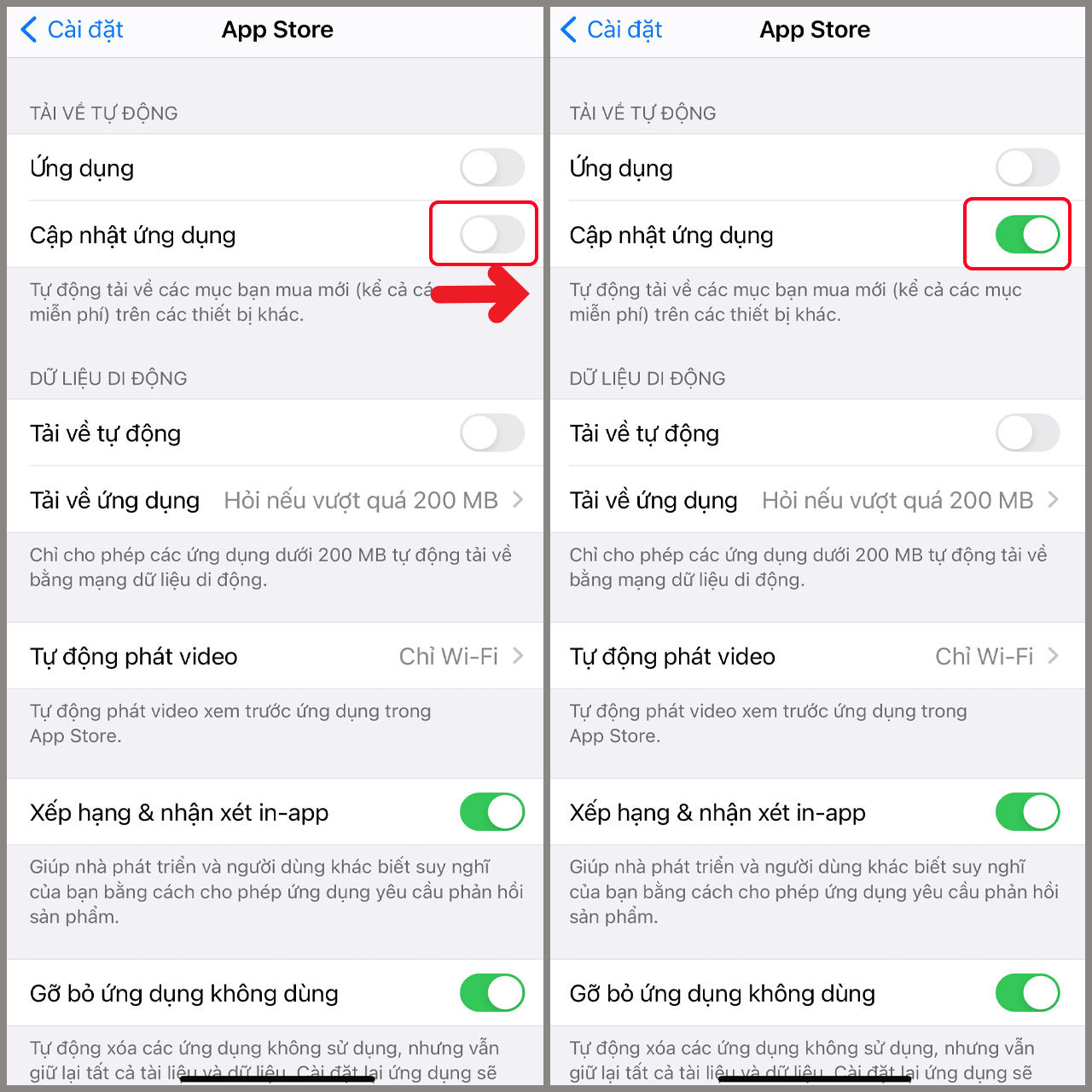 Làm sao để ứng dụng tự cập nhật phiên bản mới nhất?